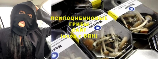 прущие грибы Бикин