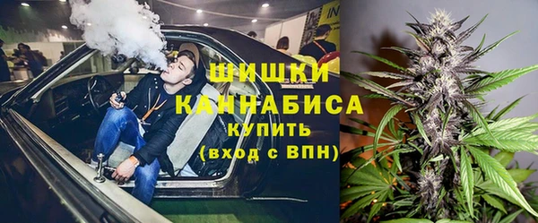 гашик Михайлов