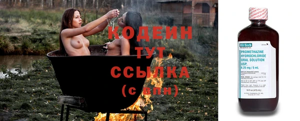 прущие грибы Бикин