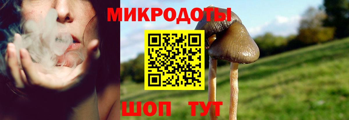 Псилоцибиновые грибы мухоморы Дюртюли