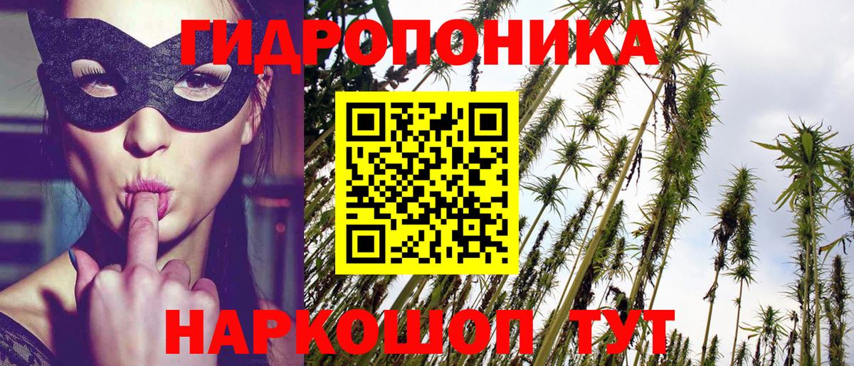 Шишки марихуана конопля Дюртюли